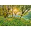 Komar Fotobehang - Spring Lake - Groen - 368 X 254 Cm - 610987