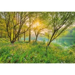 Komar Fotobehang - Spring Lake - Groen - 368 X 254 Cm - 610987