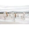 Komar Fotobehang - White Horses - Grijs Wit - 368 X 254 Cm - 611050
