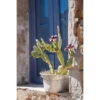 ESTAhome Fotobehang - Cactus - Blauw, Groen En Beige - 186 Cm X 2,79 M
