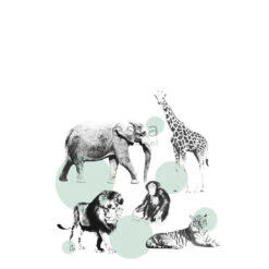 ESTAhome Fotobehang - Dieren - Mintgroen - 186 Cm X 2,79 M
