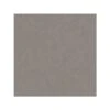 Dutch Wallcoverings - Kalk Uni Beigebruin - 0,53x10,05m
