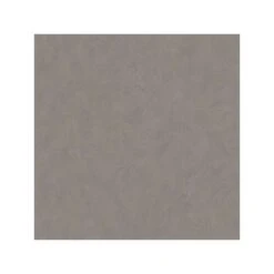 Dutch Wallcoverings - Kalk Uni Beigebruin - 0,53x10,05m