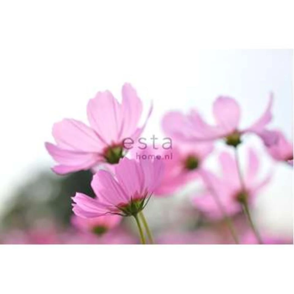 ESTAhome Fotobehang - Veldbloemen - Roze - 418,5 Cm X 279 M - Afbeelding 2