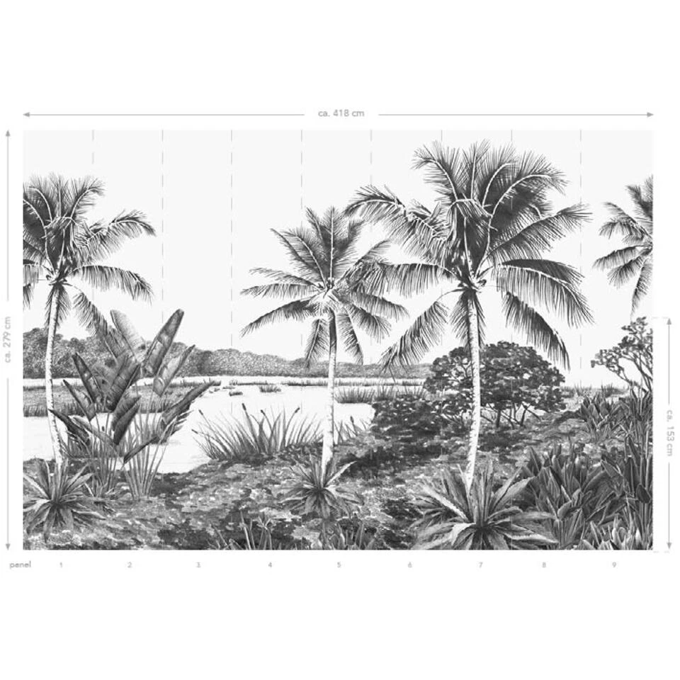 Origin Fotobehang - Landschap Met Palmen - Zwart Wit - 4.185 X 2.79 M - Afbeelding 4