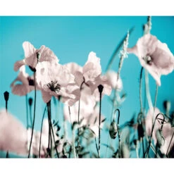 Sanders & Sanders Fotobehang - Bloemen - Blauw En Roze - 360 X 270 Cm