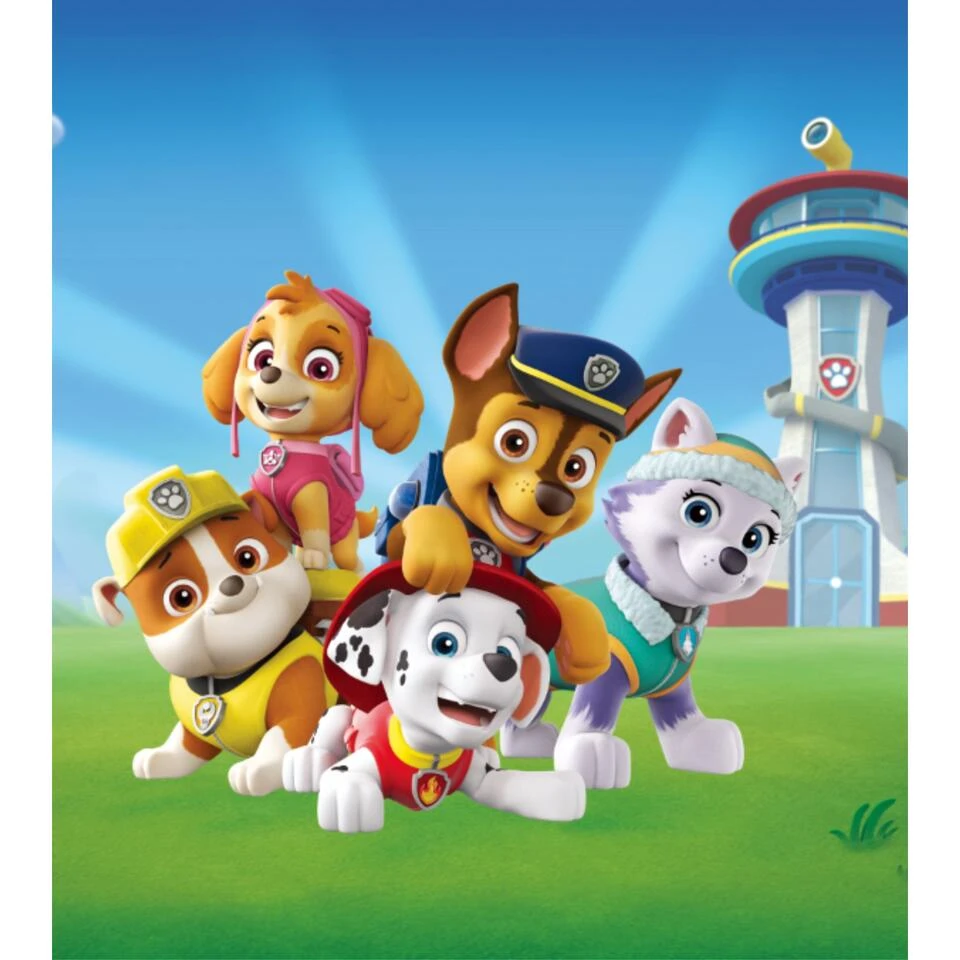 Sanders & Sanders Fotobehang - PAW Patrol - Blauw En Groen