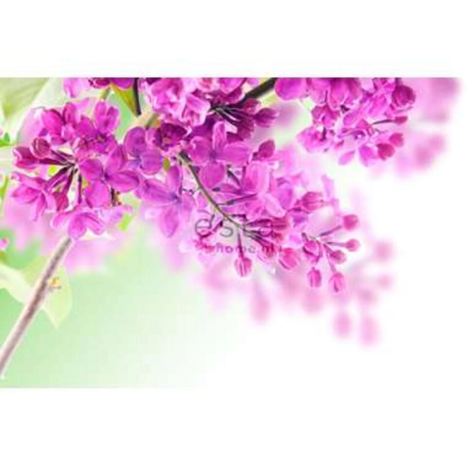 ESTAhome Fotobehang - Seringen - Roze - 418,5 Cm X 279 M - Afbeelding 2