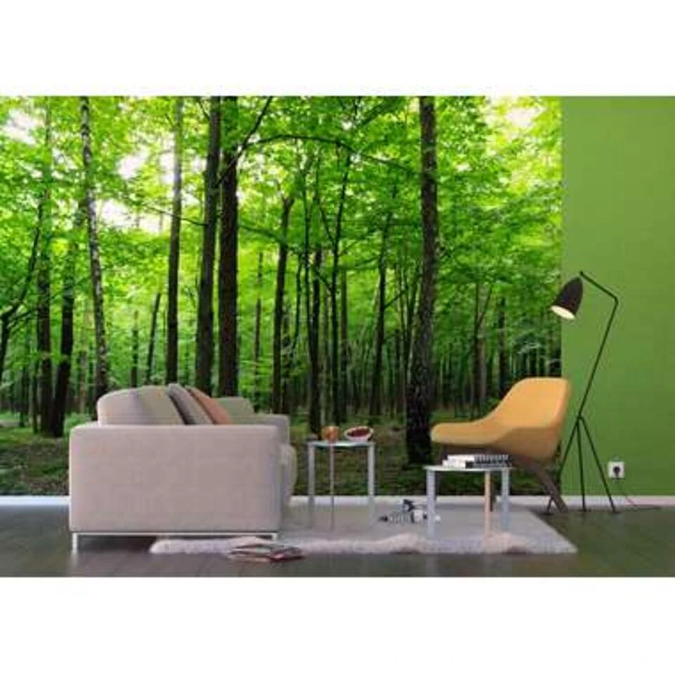 Sanders & Sanders Fotowand - Bosrijk Landschap - Groen - 360 X 254 Cm - Afbeelding 3