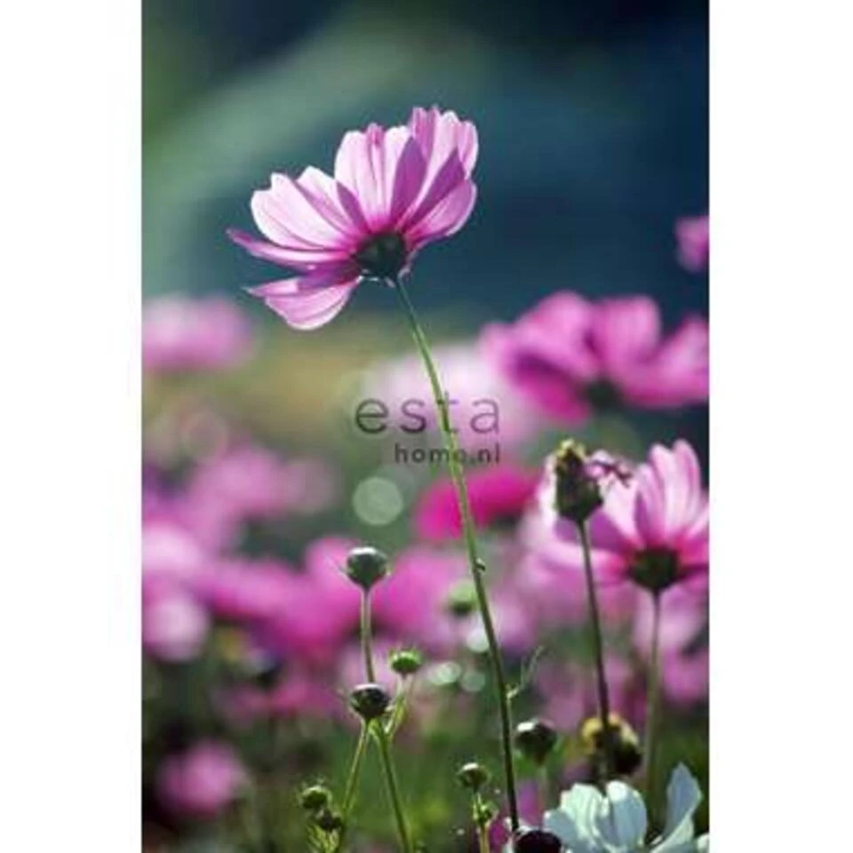 ESTAhome Fotobehang - Veldbloemen - Roze - 186 Cm X 279 M - Afbeelding 2