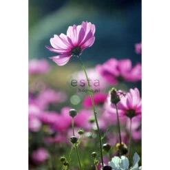 ESTAhome Fotobehang - Veldbloemen - Roze - 186 Cm X 279 M