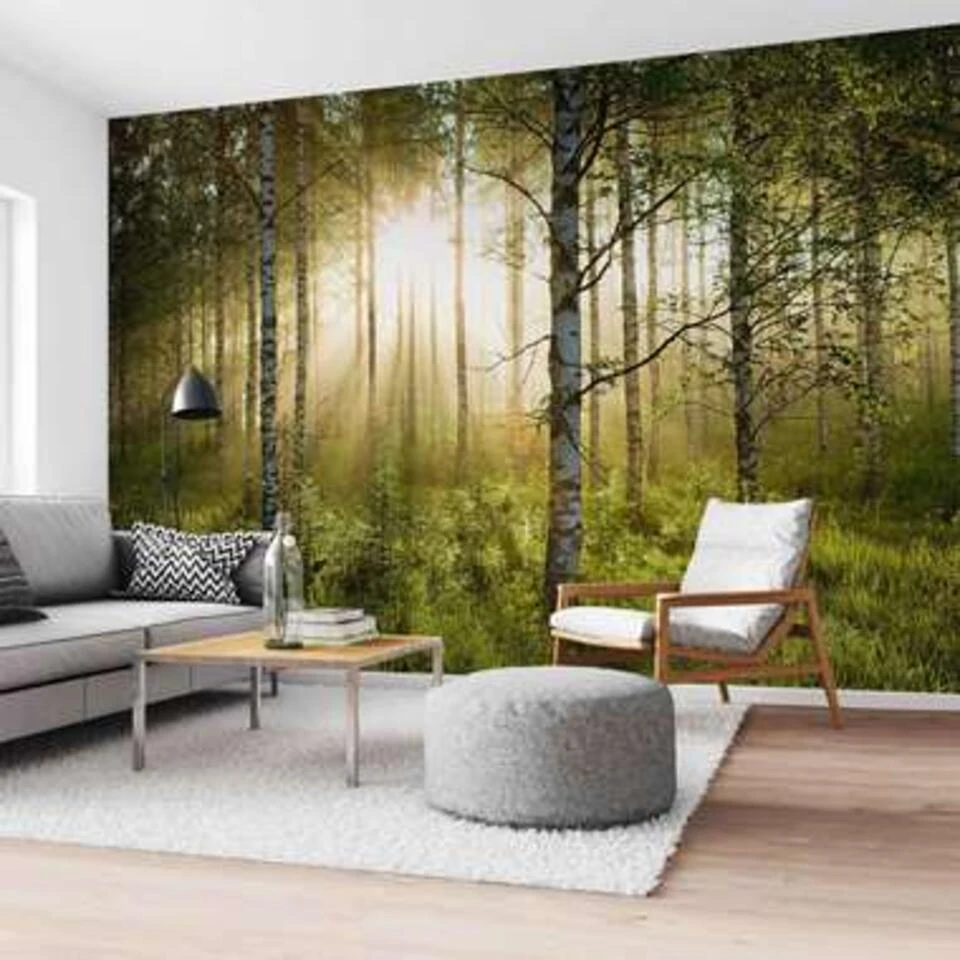 Fotobehang Zonnestralen In Berkenbos 260x384 Cm Groen - Afbeelding 2