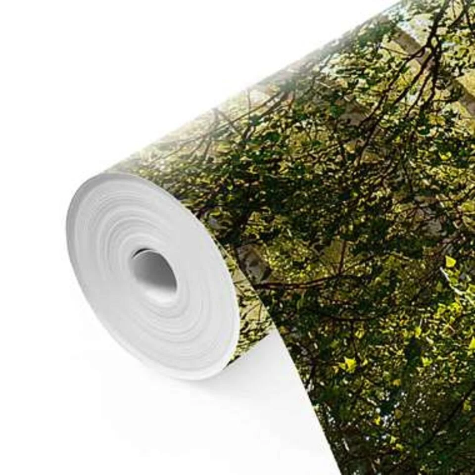 Fotobehang Zonnestralen In Berkenbos 260x384 Cm Groen - Afbeelding 4