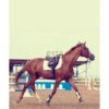 ESTAhome Fotobehang - Paard - Bruin - 232.5 Cm X 2.79 M
