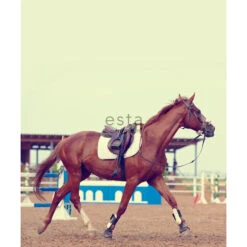 ESTAhome Fotobehang - Paard - Bruin - 232.5 Cm X 2.79 M